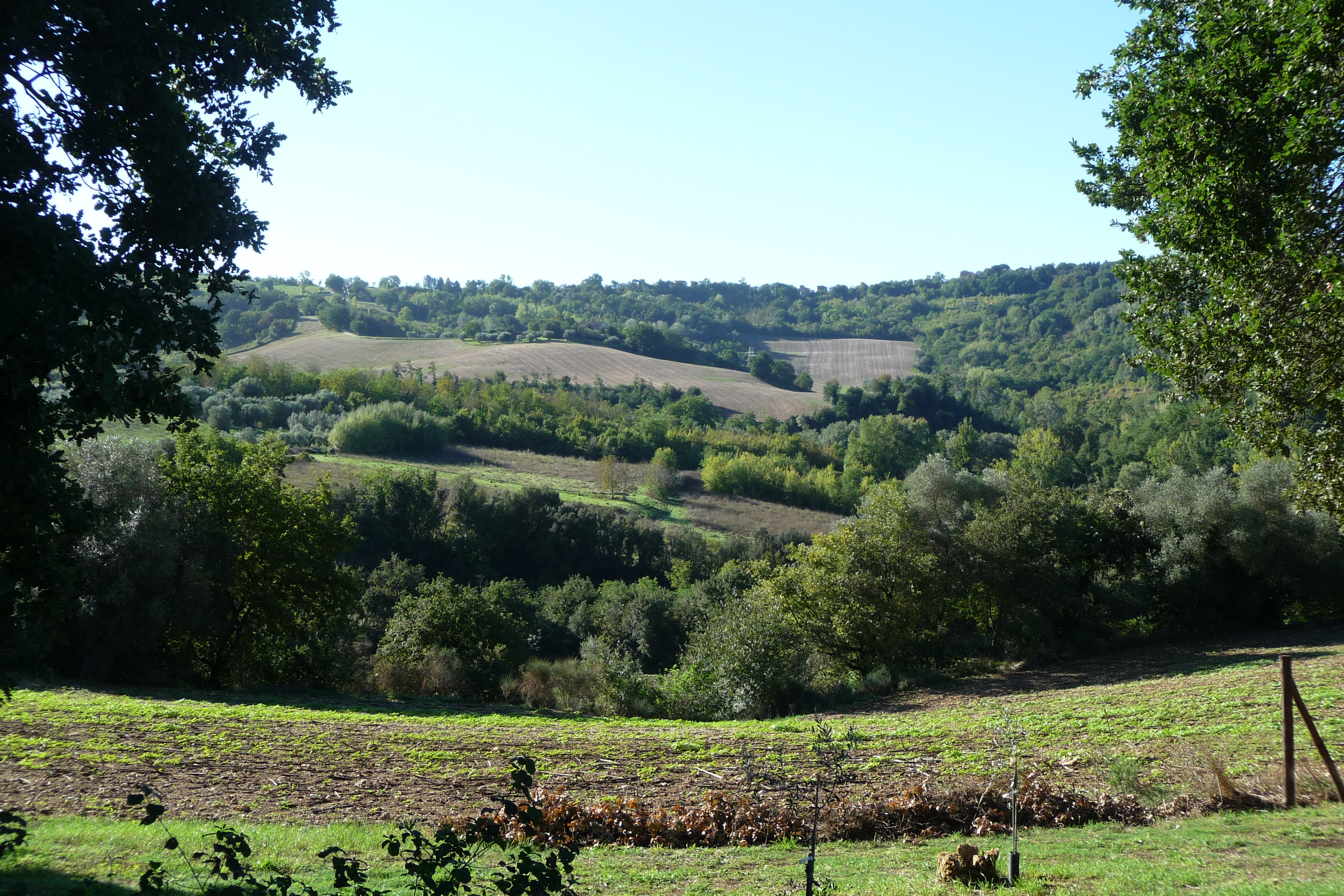 Vallate della Bassa Umbria