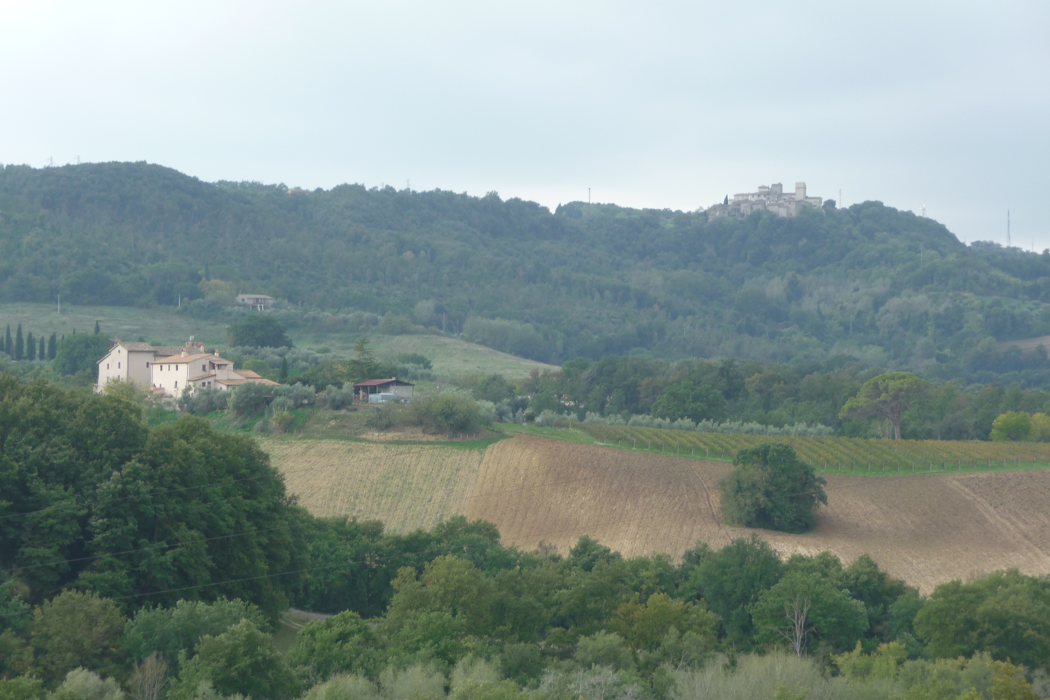 Vallate della Bassa Umbria