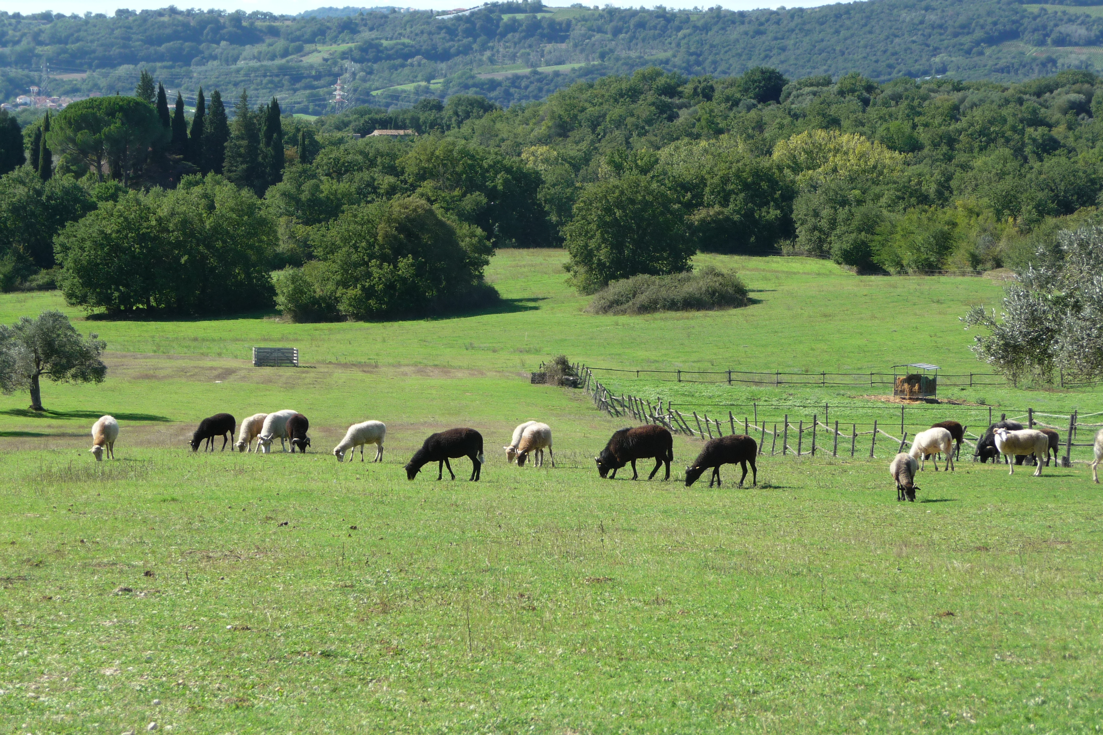 Vallate della Bassa Umbria