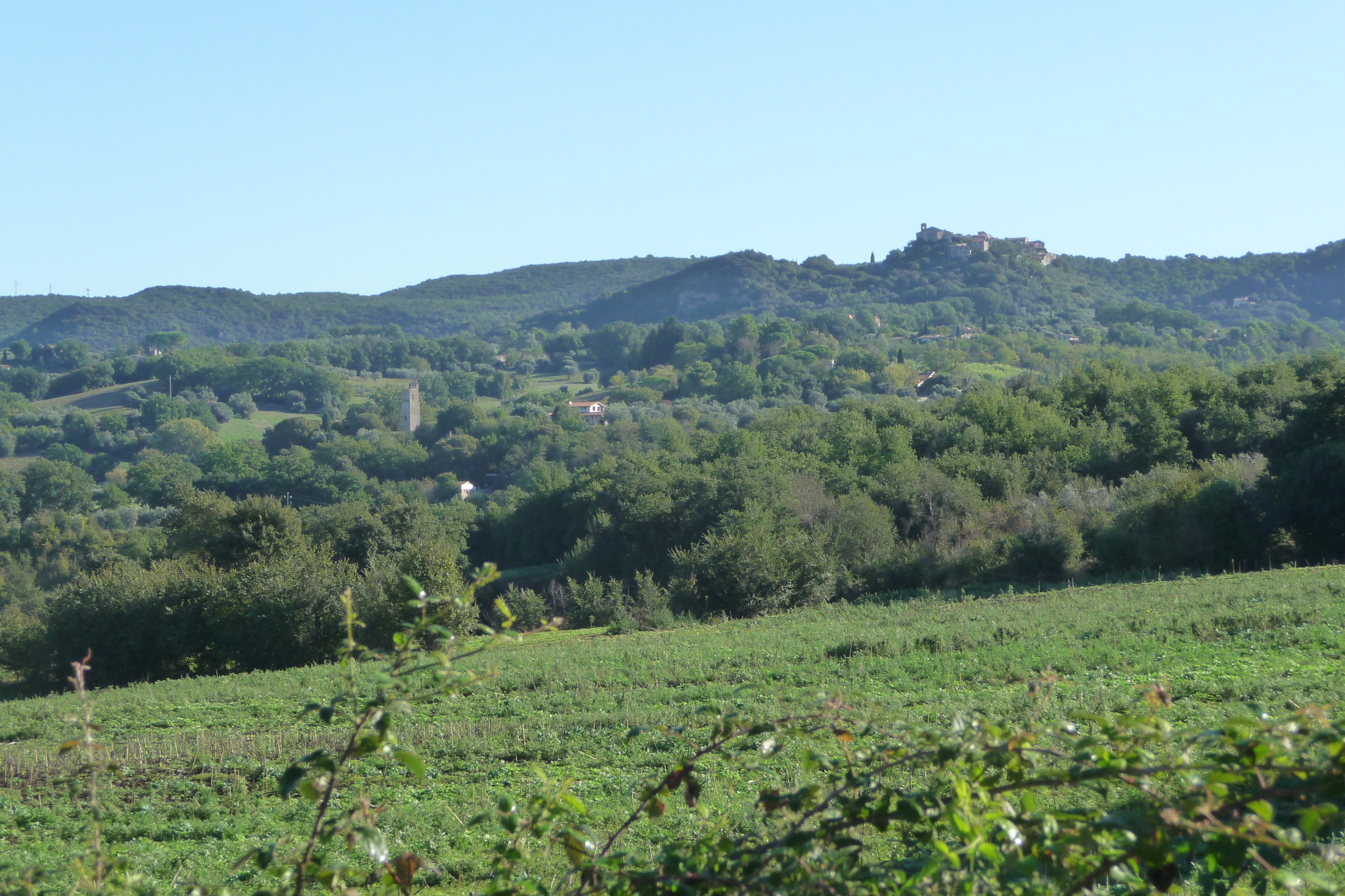 Vallate della Bassa Umbria