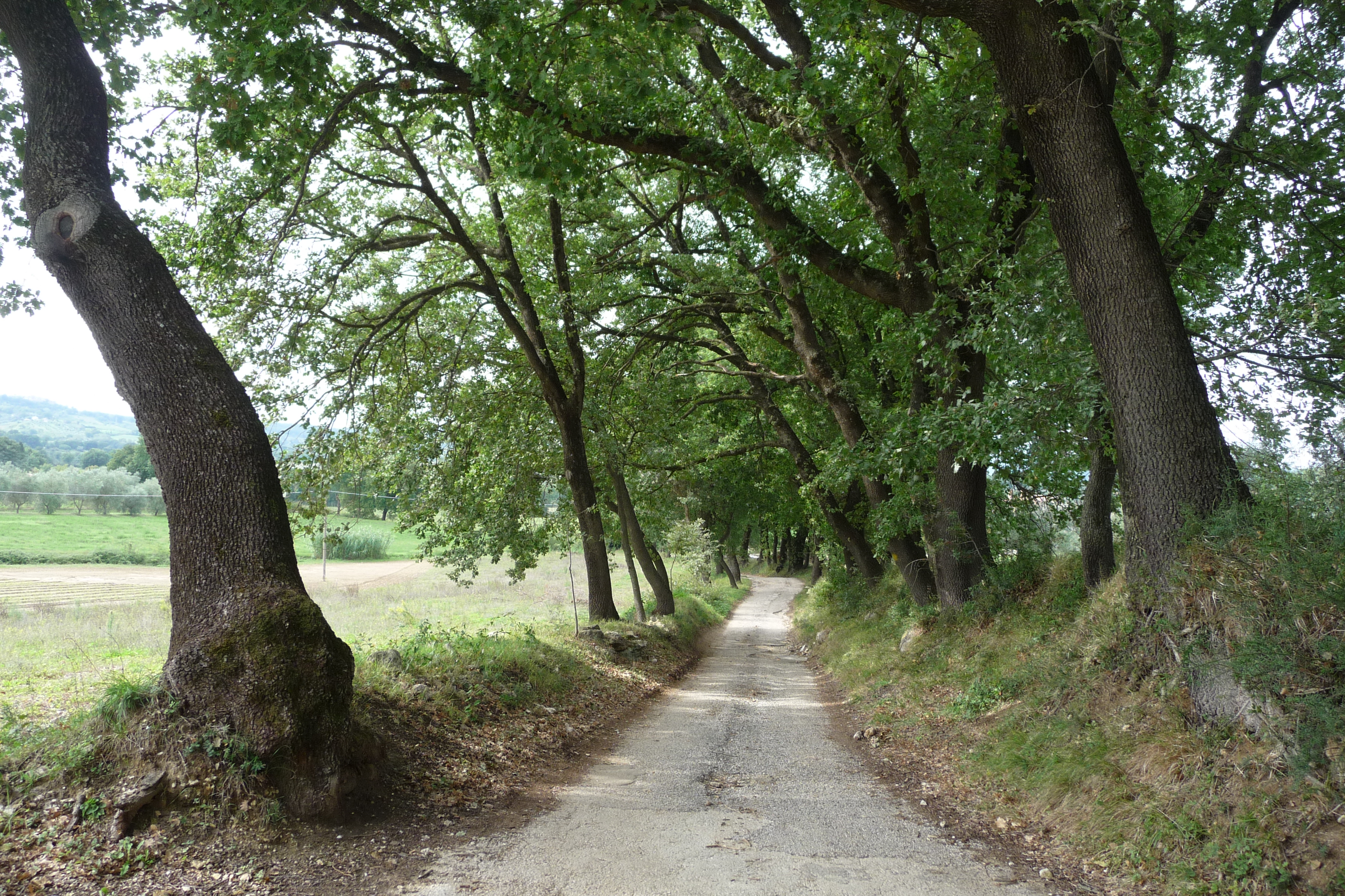 Vallate della Bassa Umbria