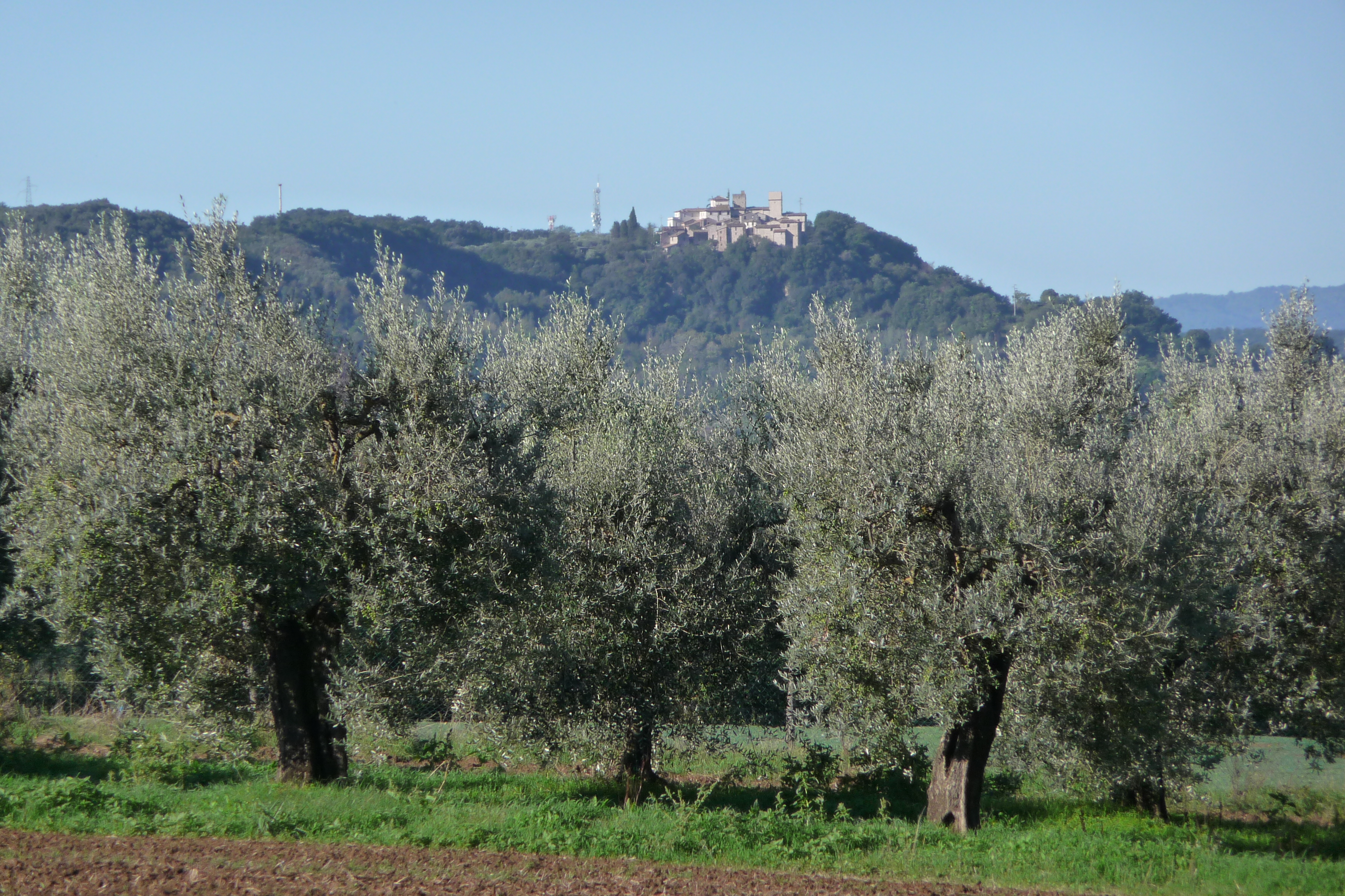 Vallate della Bassa Umbria